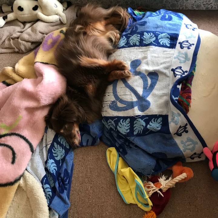 39acda25 4136 49ea 835e 38f17b3edd78 1529808094307