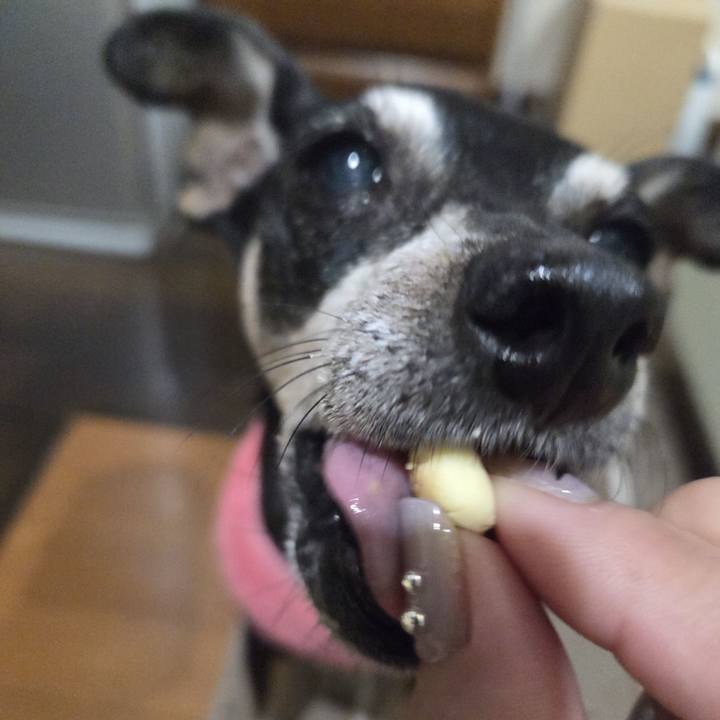 39ad80d2 d111 4762 be62 ce7d1d5c9852 1762804041937