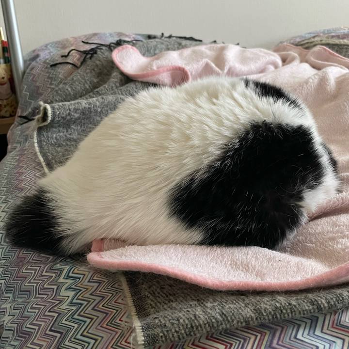 39ad8b38 e75c 40c9 8244 b04e5bd33166 1702513241238