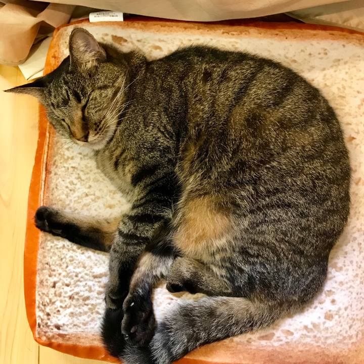 39adb352 6e78 47bc b81e 32725f4cb141 1539002173488