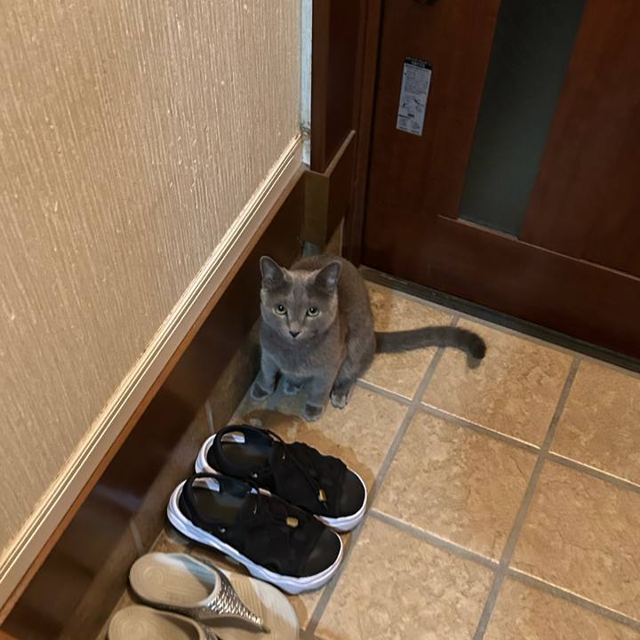 39adedf9 280b 4d24 bb1e 645d4c12f949 1759358698542