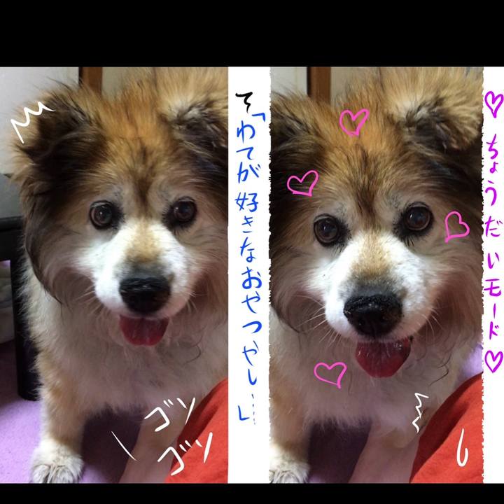 39ae2ef4 148c 47a3 a038 ac22bdc52b52 1596421567356