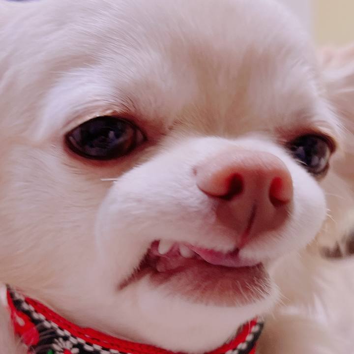 39ae36b7 af6c 4cf6 9744 73a72061bab9 1677217331164