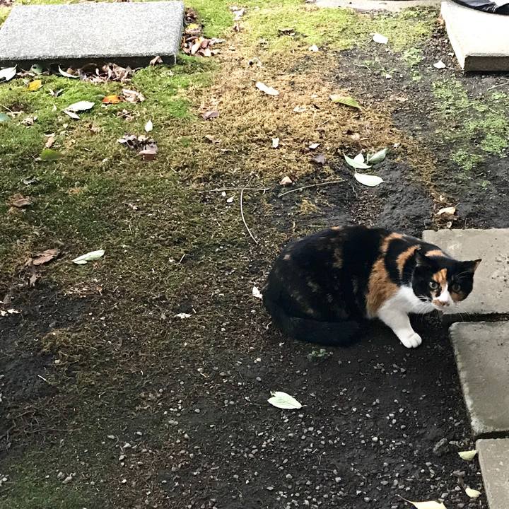 39ae75c6 1f7e 4edd 9d3e 618d2bd273a6 1508918861692