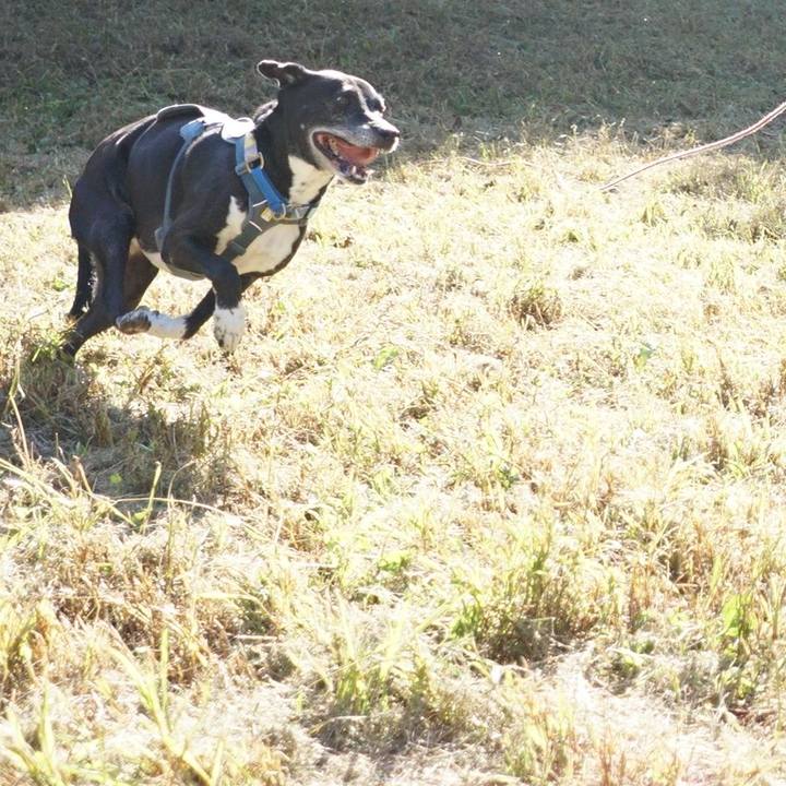 39ae8d72 3884 4bb2 b063 7aa15a1b7273 1759884298282