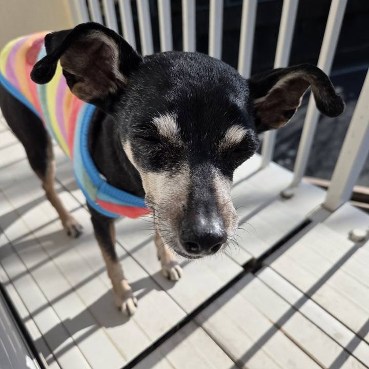 39ae99f2 2513 4917 80a7 de9fcfa712ad 1770182641316