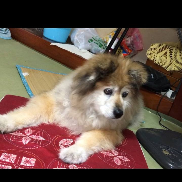 39aeac5c 0137 4589 8e26 e8bfc8128a6c 1639642480199