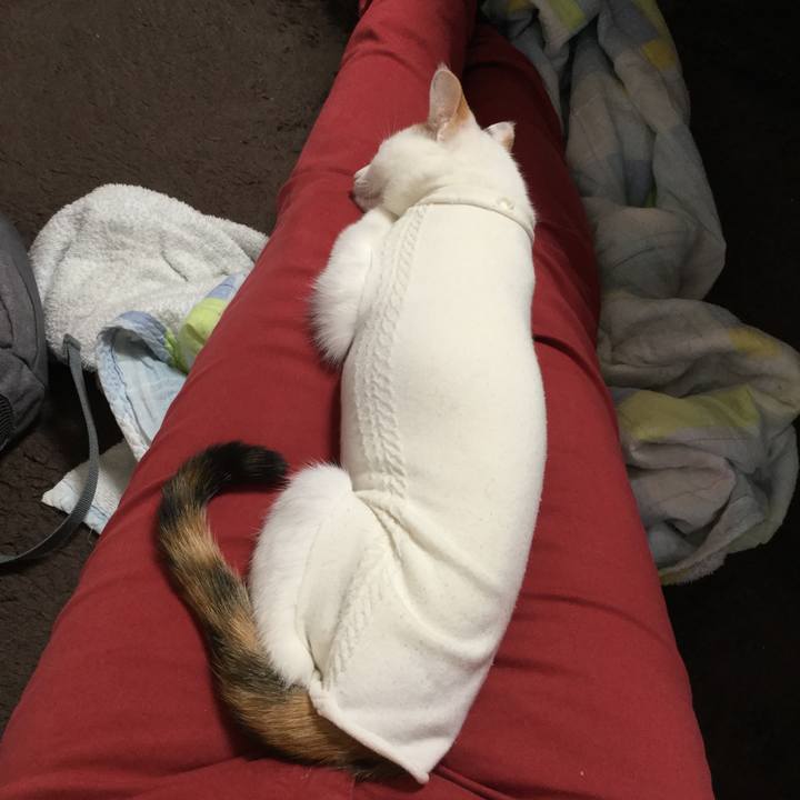 39aee9ee 7d43 4362 9af0 caa8dd343fc6 1546834584039