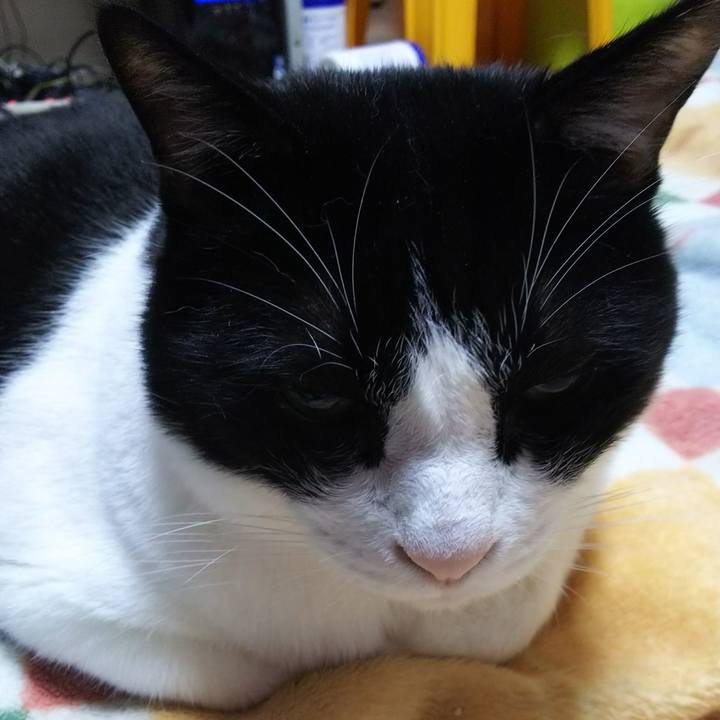 39aef8e3 ed87 4369 bd05 d149a5661e96 1541108834578