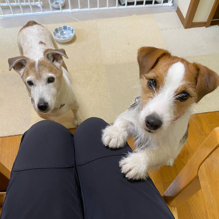 39aefb72 6935 4ea4 a8a2 a47b7ec4dca0 1647387058555