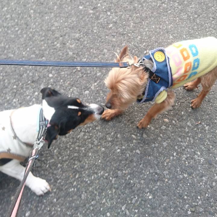 39af4d88 9792 49ba 95c6 ab1a93f398e1 1554173149700