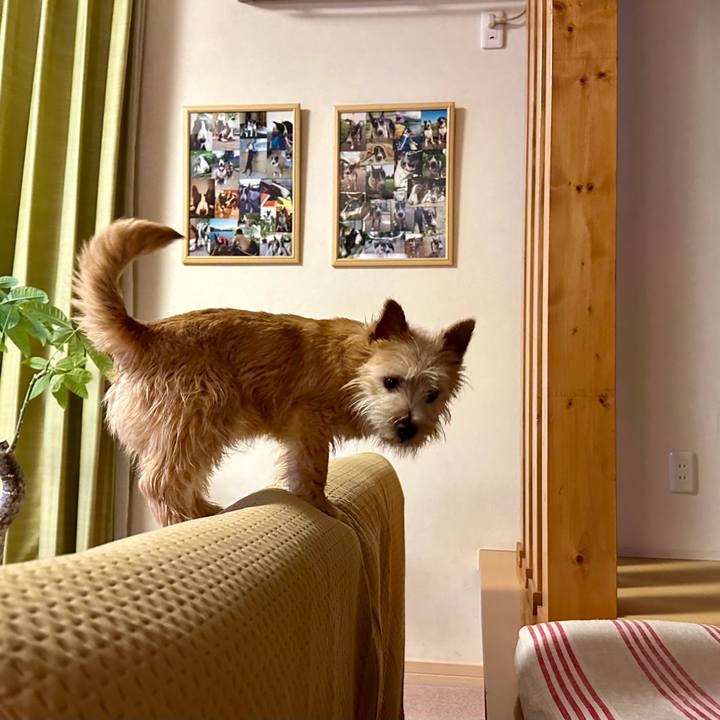 39af4e8b c787 48d1 b96d 377c89d2e51f 1709476462322