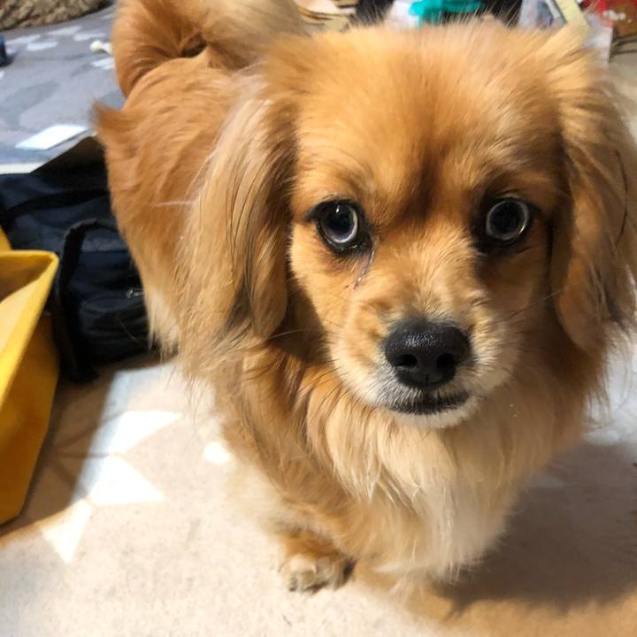 39afceb4 e81b 4696 851b d1b94c615c0c 1553126394889