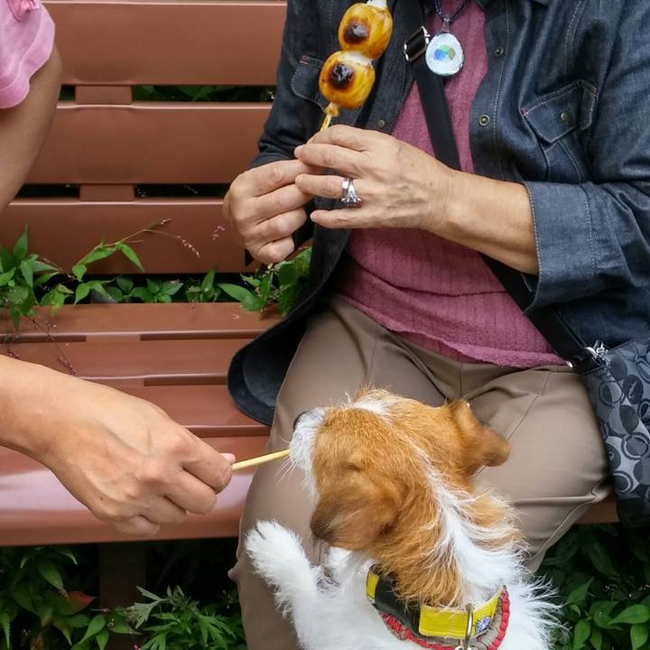 39afe72a e0dd 4a77 a400 02888aa10879 1537083376346