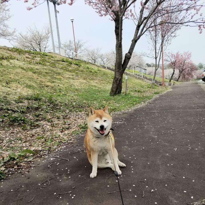 39afef4b 1ee3 468c a517 43fc9e0dc6a4 1650514741440