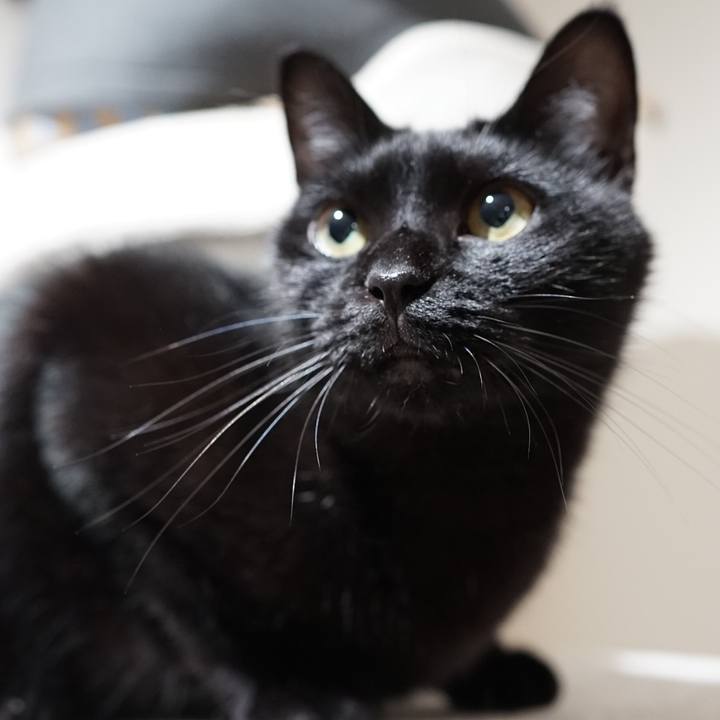 39aff9f7 cd3c 40a2 b08c a1bffcc5ef3e 1565796650341