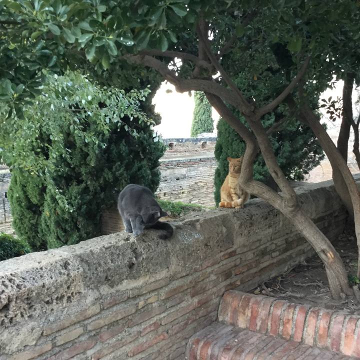 39b053d3 b63c 4d0c b6b5 4a6d88f55cf7 1514413002115