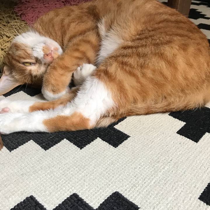 39b0d328 bc8a 4fec a886 cbb075ecb6b1 1533356672071