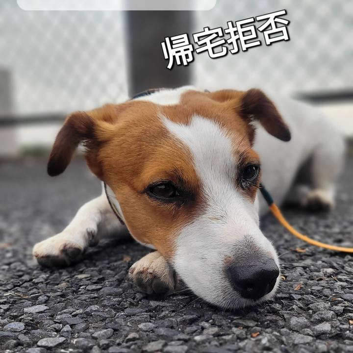 39b0d72d d15d 4e12 810f a76f81f5b1f4 1687558118903