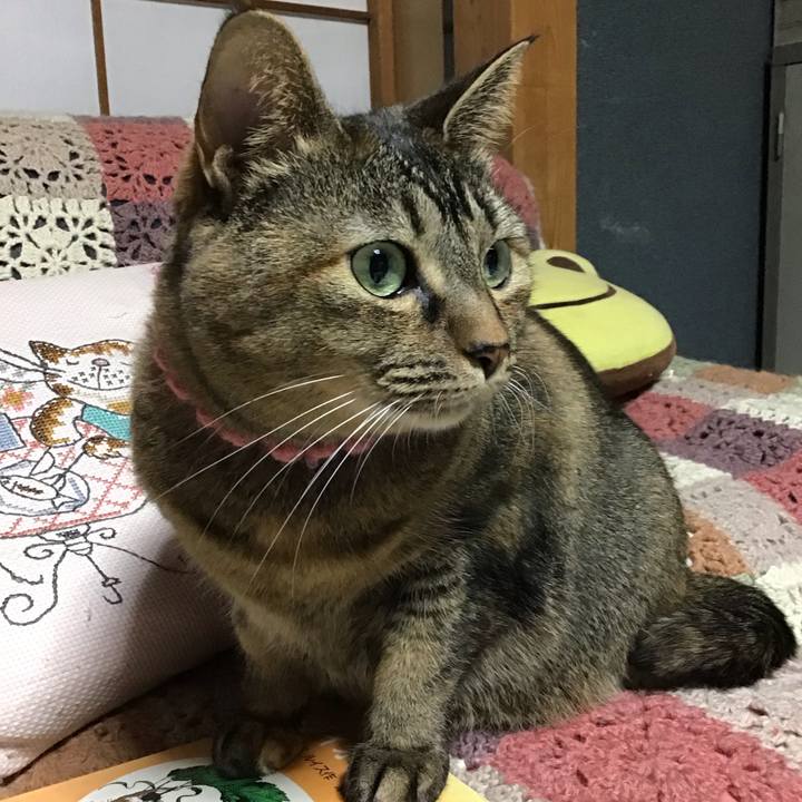 39b1148d c58e 457f a0a5 e47f8f71d277 1733650655199