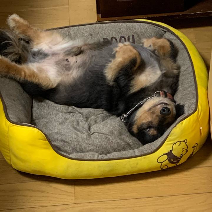 39b129c5 8732 4695 b97d b14609f6ea6b 1597069835903