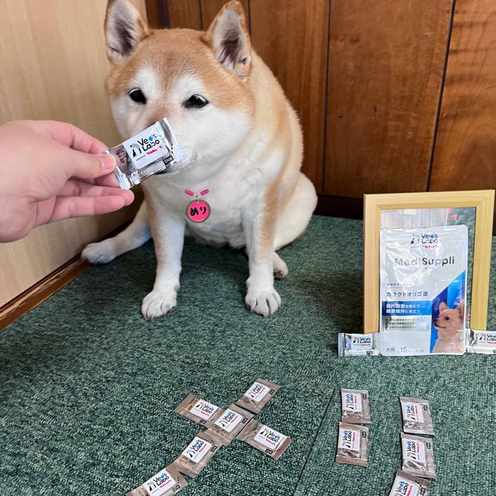 39b12d06 5156 477b 98d0 f2fcd65314ae 1711944243415