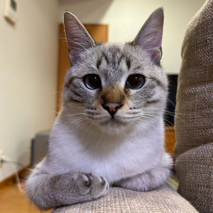 39b13b18 7a3b 49e7 8931 e722d868842b 1735397974727