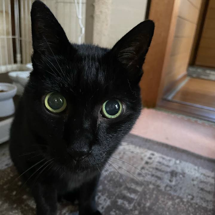 39b1fc0d 6640 4b91 affd 553a96d4f7f7 1637371826356