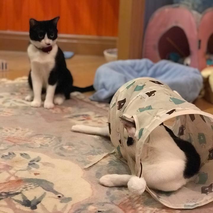 39b204b8 498e 4209 8a9f 9e0091ffef59 1557907152998