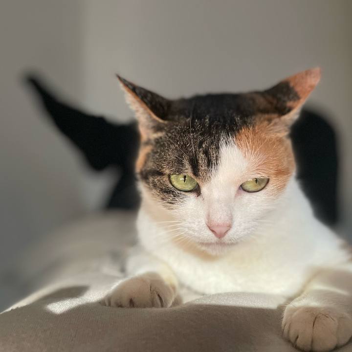 39b204c2 32aa 4119 91ad d662cb91892b 1671860226009