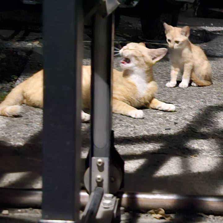 39b22e33 bd00 415c 918f 78c0a66af30e 1721820574220