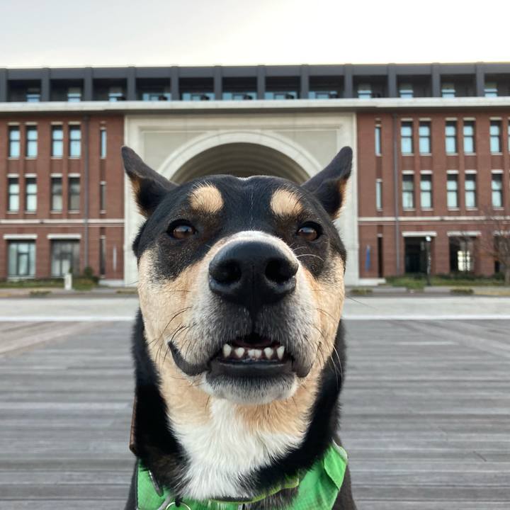 39b25c41 793d 410a 90c0 ca6cd8e2f65f 1607822777571