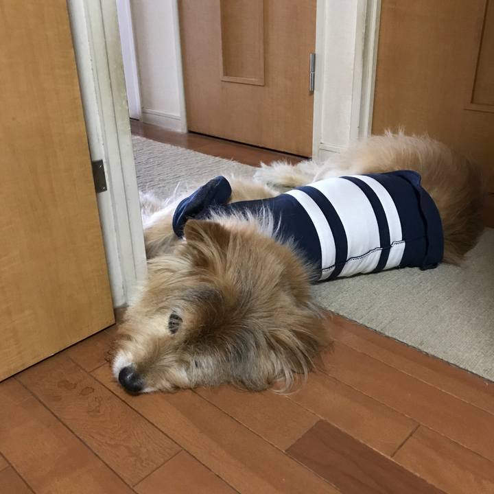 39b27c7b da56 4111 b53f 1098c198c38f 1593230086597