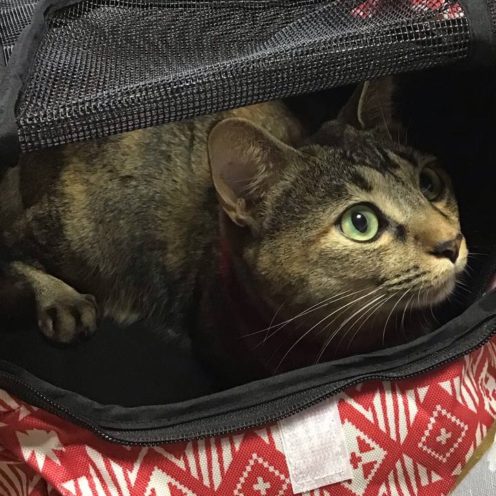 39b29735 cb05 4241 90ed a32220857816 1602375669395