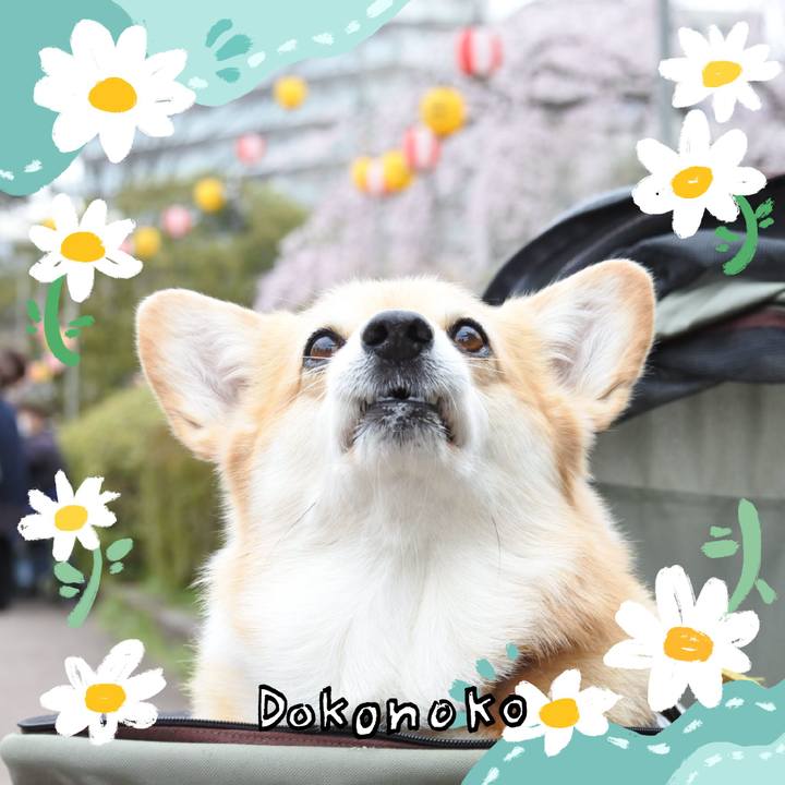 39b2a594 80bc 4e71 a11a c93dcb5ab903 1712418043196