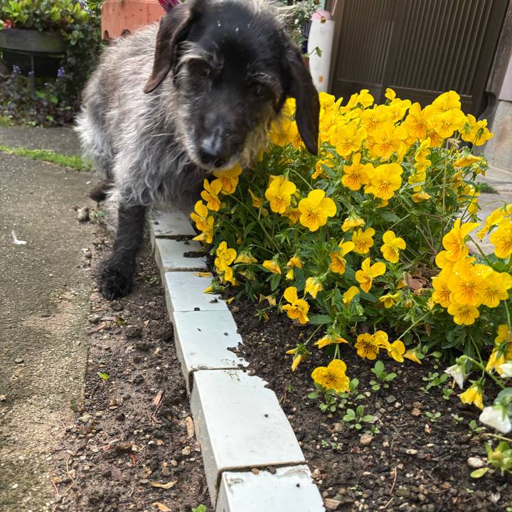 39b2e0f2 fad7 447e 9d79 738e402e5f8b 1747177775117