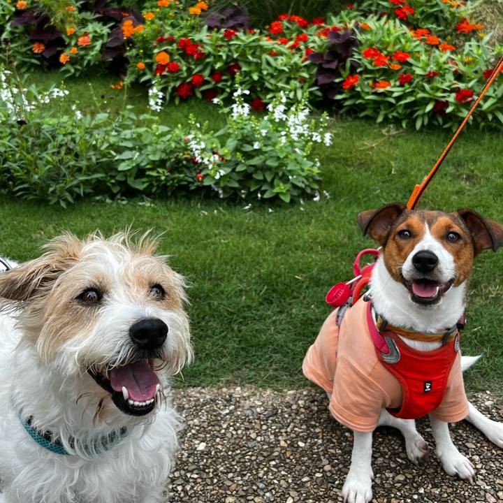 39b2e997 8eb8 4b33 9541 0cd49d00bbb8 1727612083617