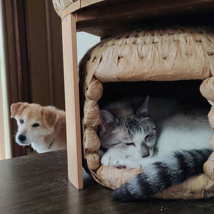 39b2f2a3 6601 4257 9ec2 fe366883b513 1628409557477