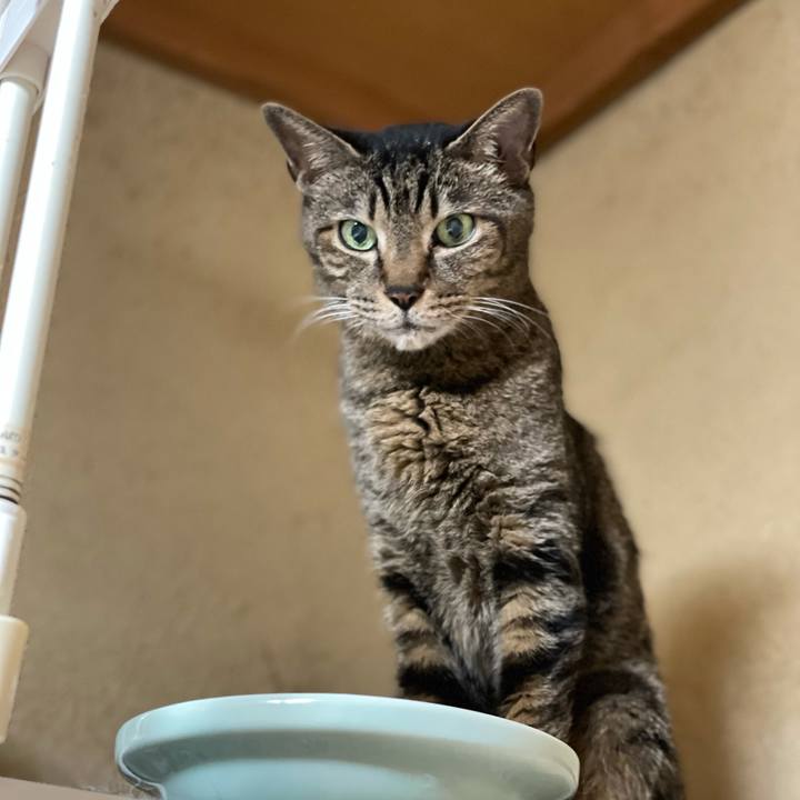 39b2f93d 9044 43f9 9da9 435abe01bbb8 1623202209520