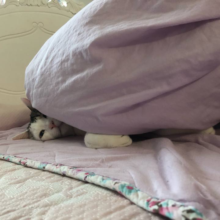 39b2fd88 0c44 4465 98ee c524ea4a37dc 1628239743806