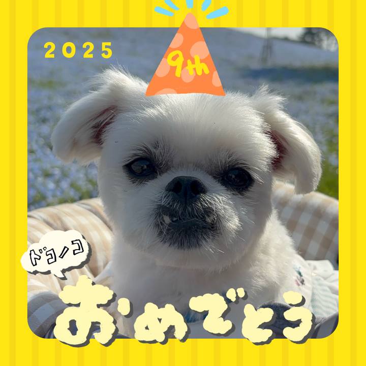 39b30f36 3ab3 407e a2ac 4f2878e75de4 1749132942813