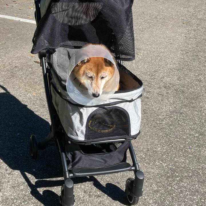 39b324d4 beac 42ec ae97 fbef4d3f22f0 1666241337935