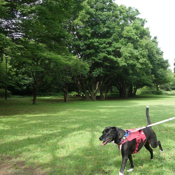 39b34a6e d9be 40af bf3c 492f45b099e5 1685580649242