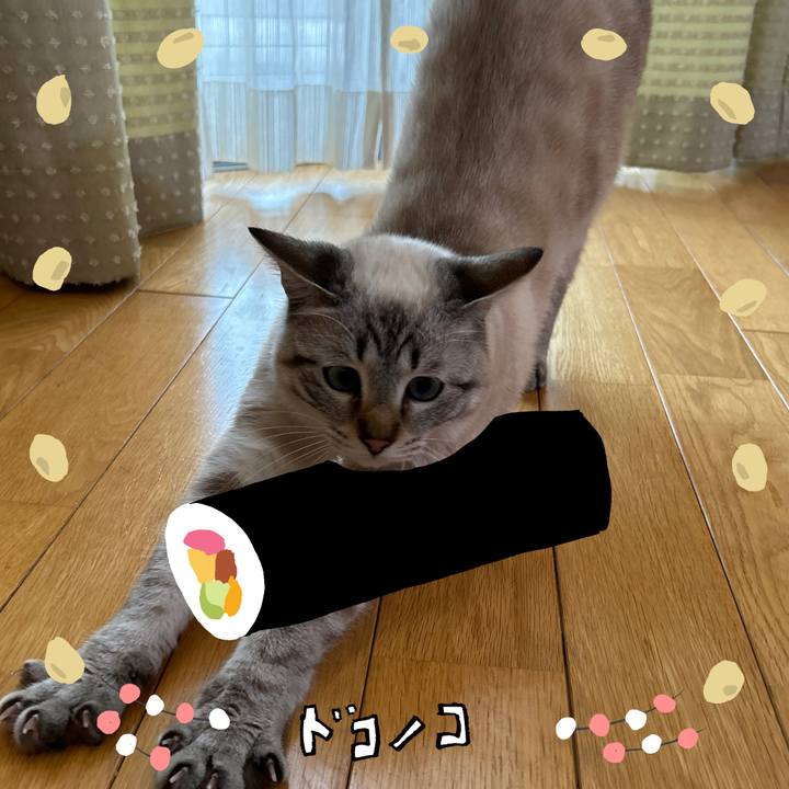 39b35000 5bf9 4241 ab64 8bbe7ae9c973 1741269356981