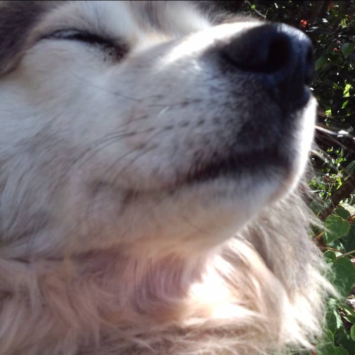 39b3525f b7e7 4033 957f 108e92f48151 1551827114203