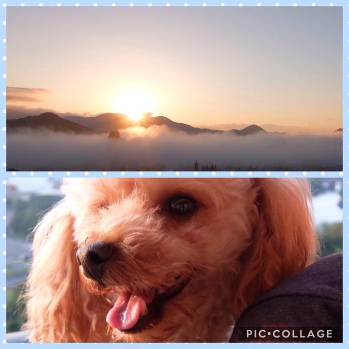 39b35ea8 3a0c 45d1 bcc7 ebbe2fcbf269 1538956169459