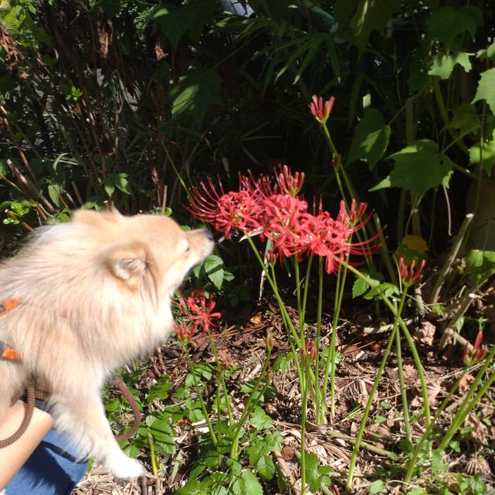 39b37a75 4e62 4c42 b711 832e36535f9c 1758421312714