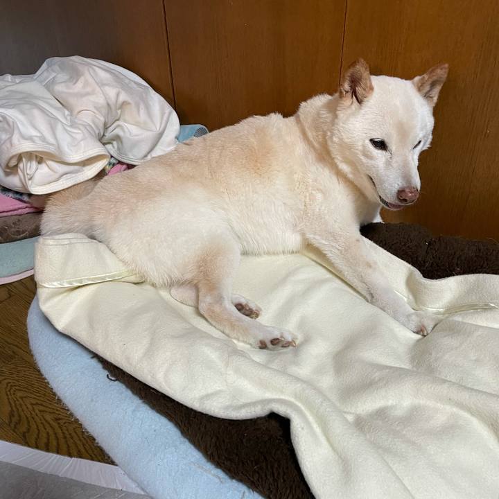 39b385ee 57b5 484a 985d 5f6e1333753f 1635133987533