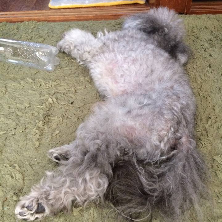 39b3a412 d6bc 4621 8cfc cb28d2be17e8 1514956683927