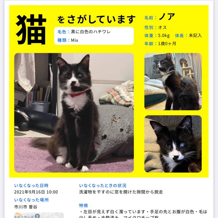 39b40421 8f45 4e89 b628 6ab7fbc271b9 1632955993689